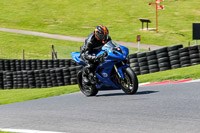 Middle Group Blue Bikes